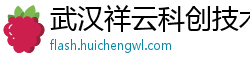 武汉祥云科创技术服务有限公司